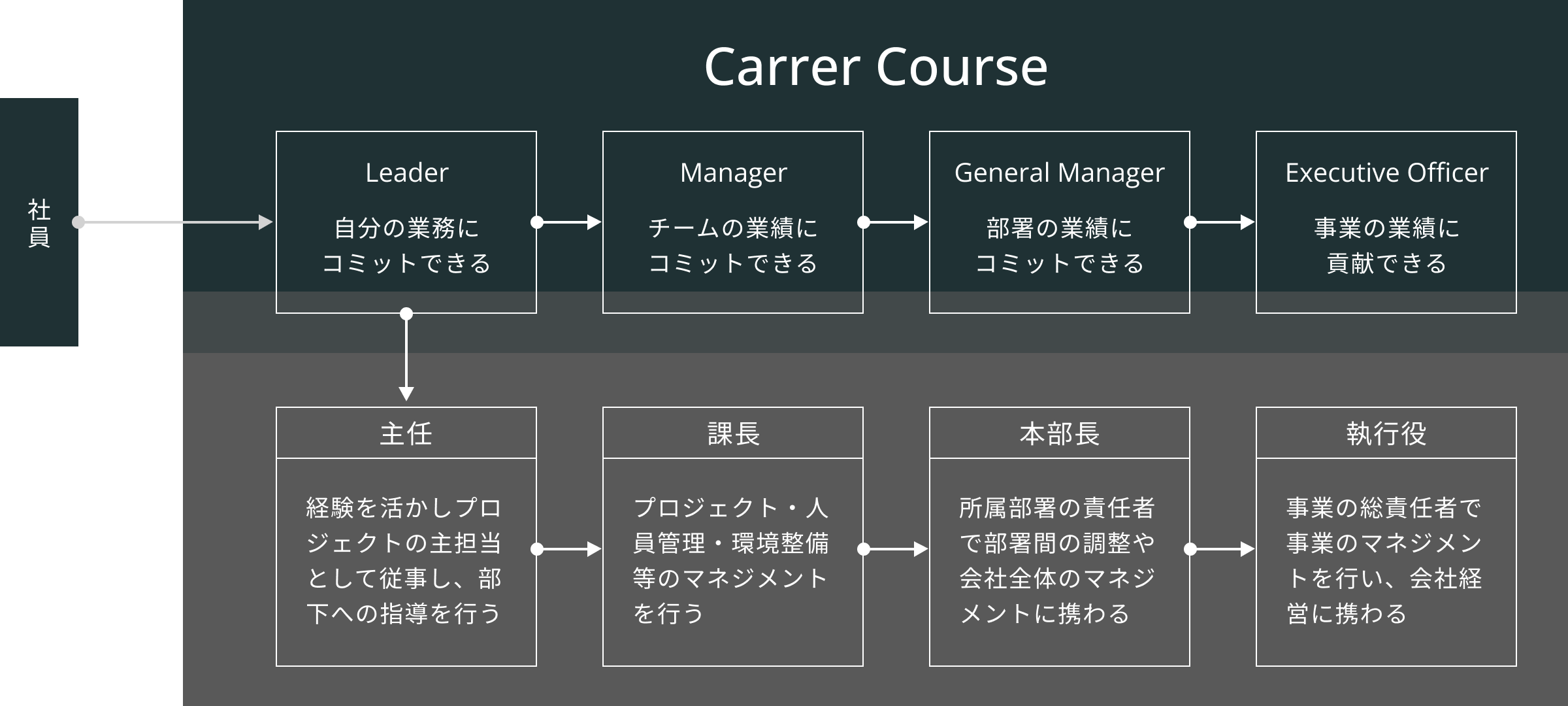 キャリアについて